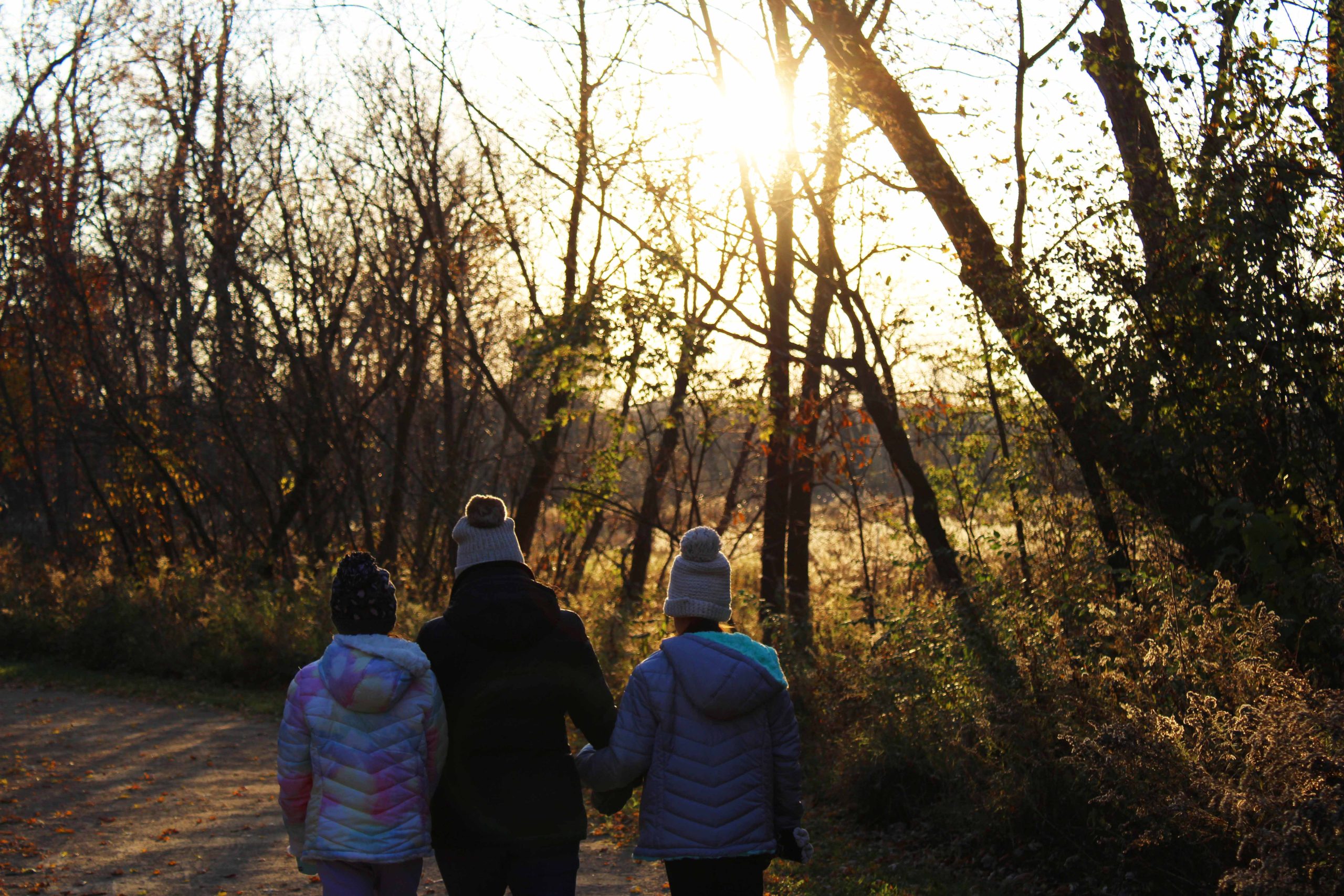 An adult and two children in knit hats and puffy jackets walk hand in hand down a trail through autumn woods, backlit by a low sun