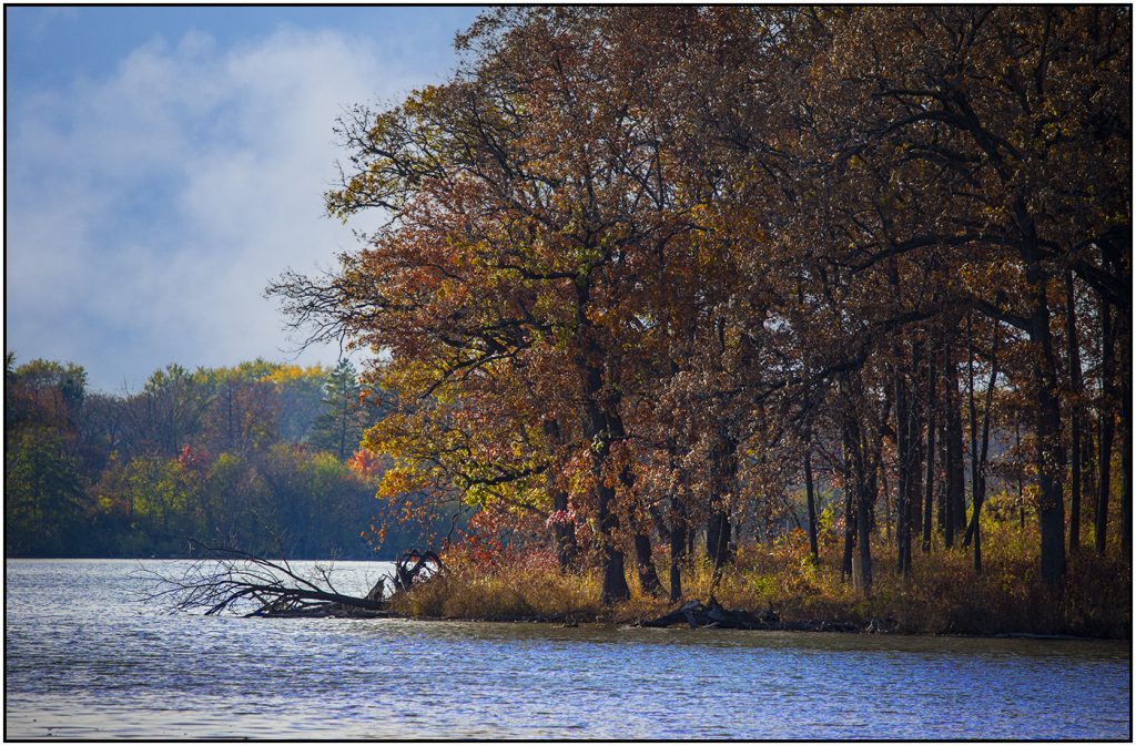 Oaks in rust and gold autumn color line the shore of a lake under a blue sky with drifting mist