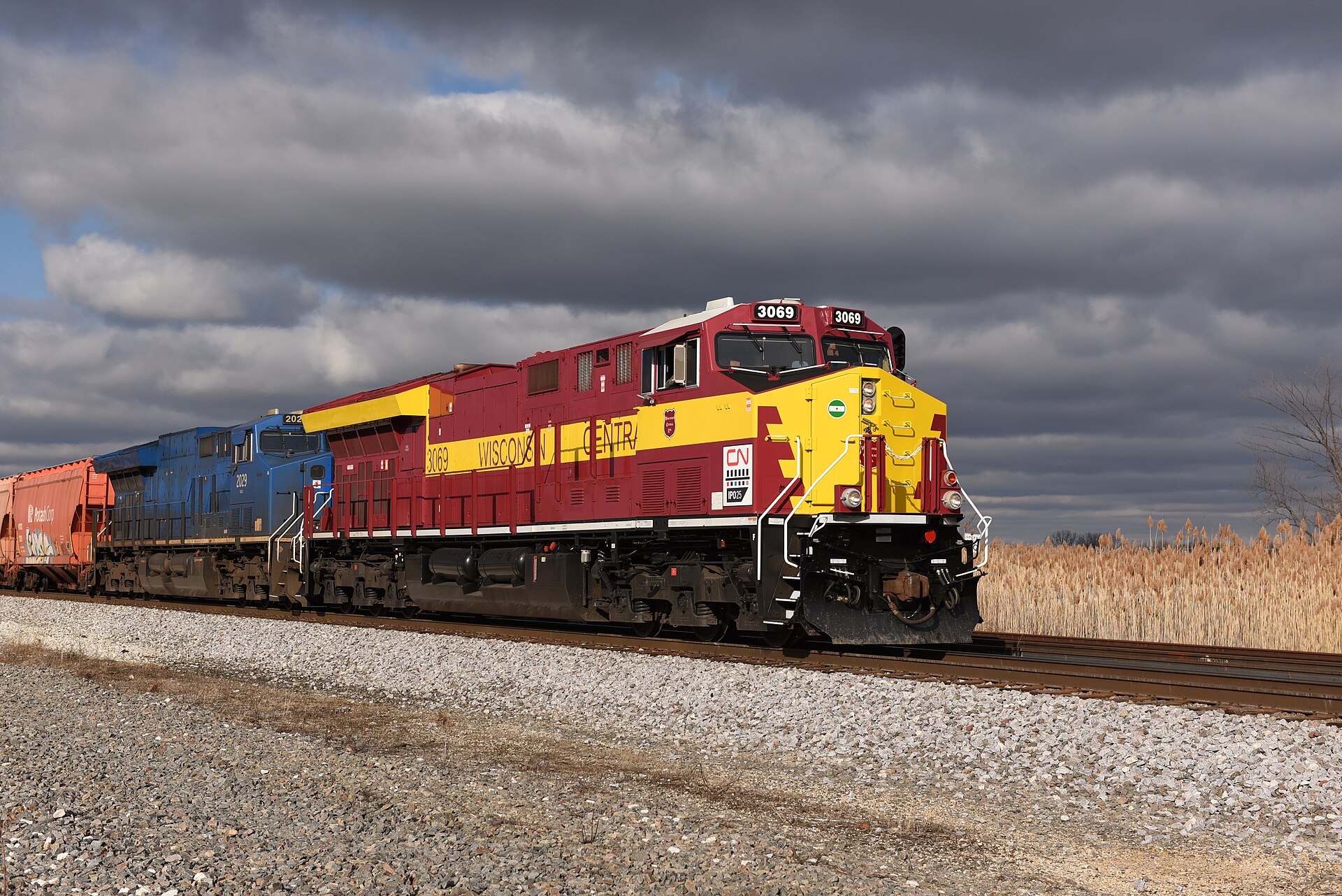 A Canadian National freight locomotive in red and black hauling a long train through Grayslake under a cloudy sky