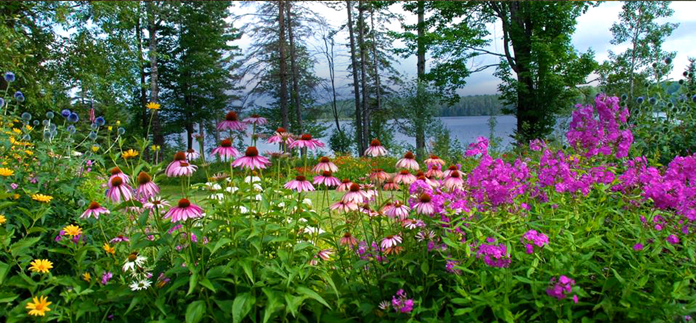Purple coneflowers, pink phlox and yellow daisies blooming in a garden in front of a lake and tall pines